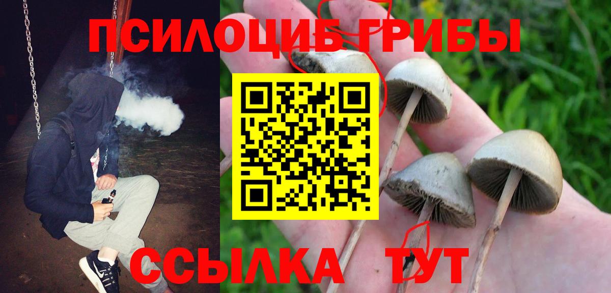 Галлюциногенные грибы мицелий  Вход с VPN  Крымск  Галлюциногенные грибы Psilocybine cubensis 